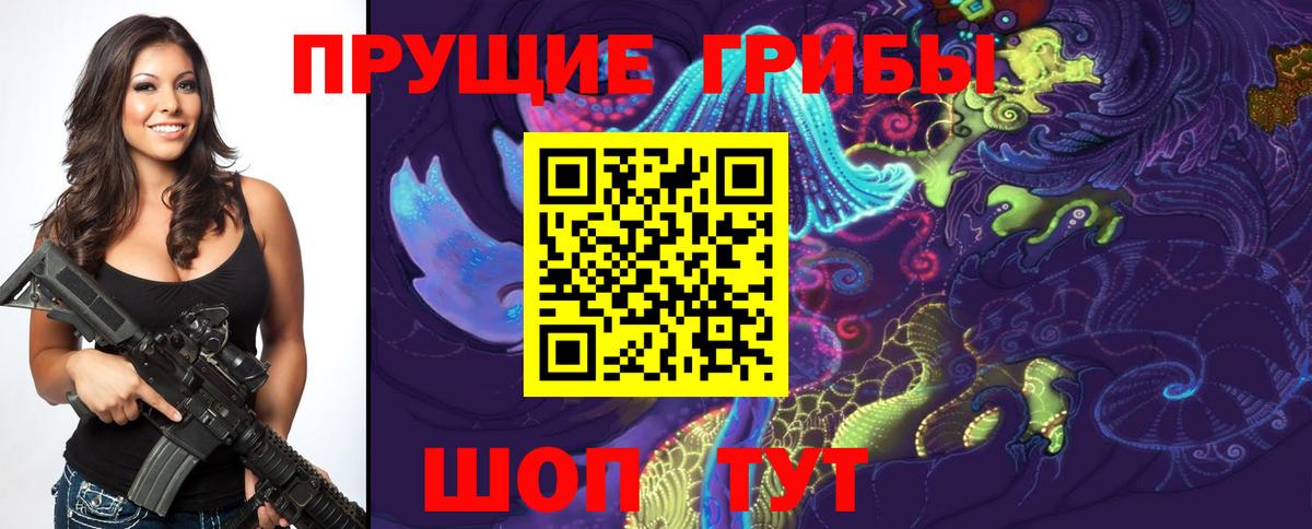 Псилоцибиновые грибы мицелий  Вход с VPN  Энгельс 